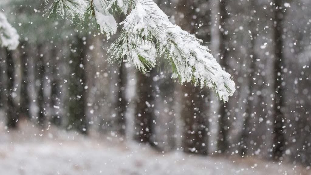 Nxirrni rrobat dimërore – Nesër borë e shi, temperaturat pritet të zbresin deri në 3C