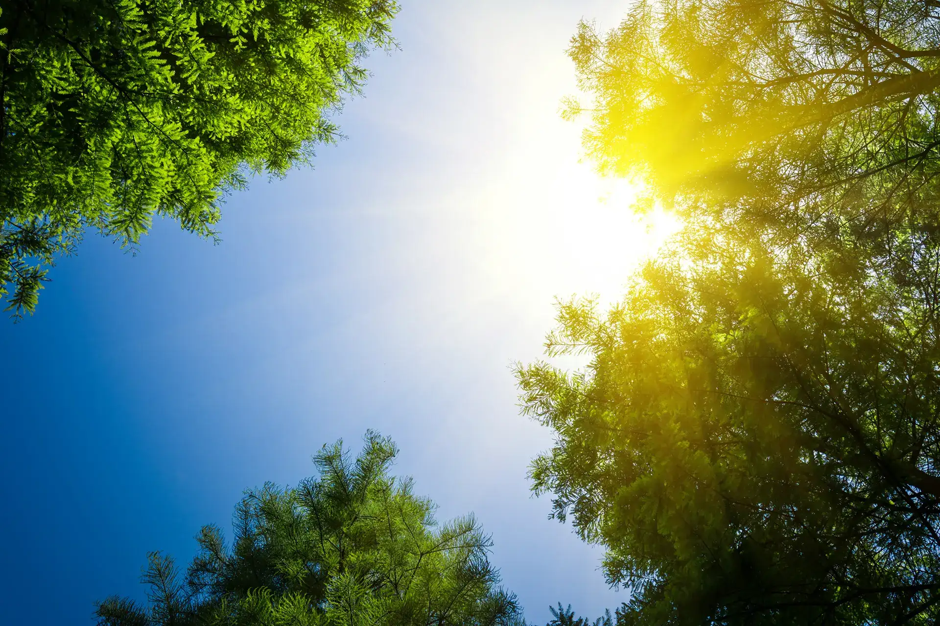 Moti sot – diell dhe temperatura deri në 37 gradë