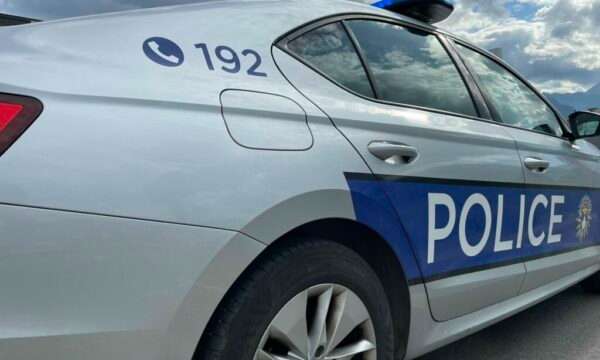 Identifikohen tre persona për transportim të kundërligjshëm të druve, policia jep detaje