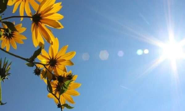 Shumë nxehtë ditën e sotme, temperaturat deri në 37 gradë