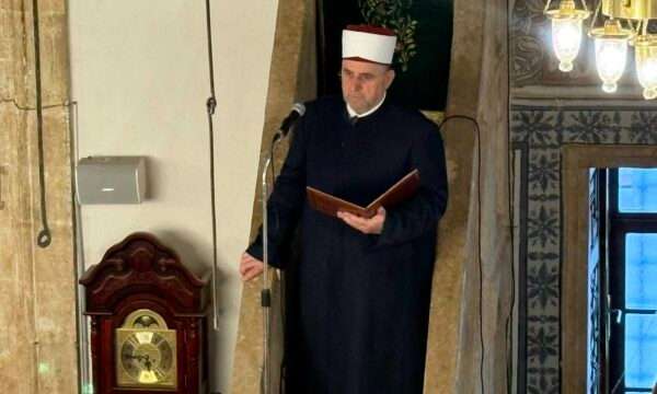 Rënia e natalitetit, Tërnava: Çifteve me katër ose më shumë fëmijë duhet t’u dhurohet nga një banesë